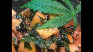 Каннабис деликатесы. Как приготовить листья марихуаны быстро и просто. 6 рецептов.
