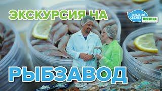 Как устроено рыбное производство? Экскурсия на завод «ЭРА МОРЯ» с Юлией Бутаковой