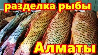 Алматинская рыба судак и сазан. Как правильно разделать упаковать и заморозить рыбу