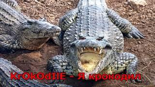 KrOkOdIlE feat. Стас Экстаз - Я крокодил