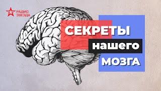 Вячеслав Дубынин: как держать мозг в тонусе и управлять своими решениями