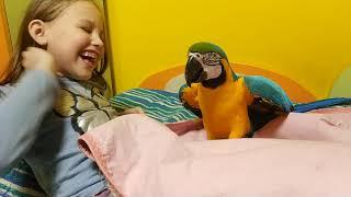 Попугай ара спасет ребенка от одеяла