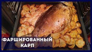 ФАРШИРОВАННЫЙ КАРП – рыба, запеченная в духовке с картошкой как приготовить – рецепт | Baked Fish