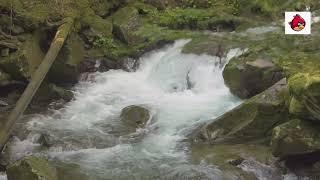 Альпийская река. Звуки воды для засыпания, медитации и успокоения коликов у ребёнка