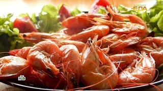 Морские гады: необычные и полезные блюда с креветками