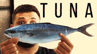 Разделка Тунца | Анбоксинг Рыбы