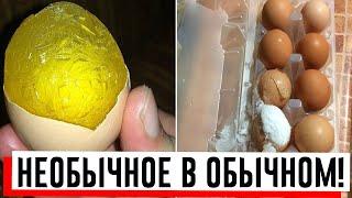 Дочка по ошибке положила яйца в морозилку: теперь так поступаем всегда!