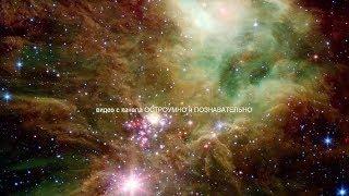 Вселенная  /  NASA показало снимок с телескопа Спитцер