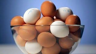 ЧЕМ отличаются БЕЛЫЕ куриные яйца от КОРИЧНЕВЫХ
