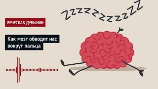 Вячеслав Дубынин: Как мозг обводит нас вокруг пальца