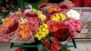 Польша 2019, цены на цветы в супермаркете Biedronka