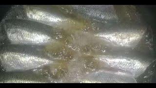 Как приготовить вкусные шпроты из речной рыбы в домашних условиях