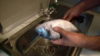 Как правильно чистить рыбу дорадо! РЕЦЕПТЫ ТУНИСА (ВЫПУСК ШЕСТОЙ)