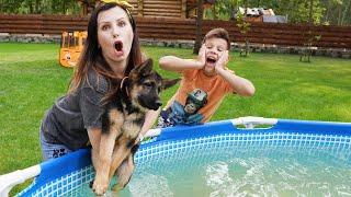 Малыши и их поведение для детей с собакой