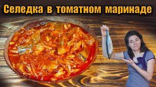 Рецепт селедки в томатном маринаде