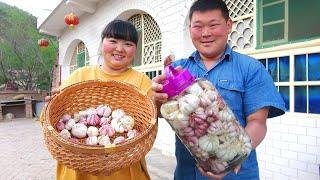 【陕北霞姐】镇子赶集买10斤大蒜，霞姐教糖蒜腌制方法，吃面来两瓣猛香了！