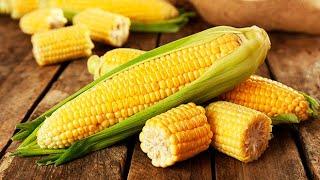 Вы до сих пор варите кукурузу? Как приготовить кукурузу в 10 раз ВКУСНЕЕ #shorts