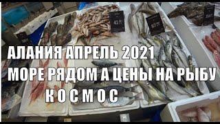 АЛАНИЯ Апрель 2021 Цены на оливки варенье рыбу и морепродукты в МЕТРО Турция