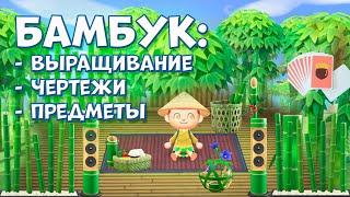 Бамбук: где брать, как растить, инструкции и предметы из бамбука в Animal Crossing: New Horizons