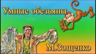 Очень умные обезьянки Умные животные Михаил Зощенко