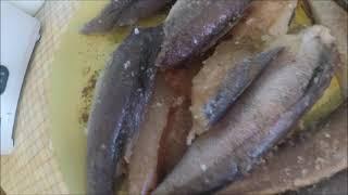 Как я готовлю рыбу в луковом кляре./Fish in onion batter/