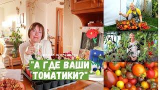А где ваши томатики? Посев томатов на рассаду / Мой выбор сортов в этом сезоне