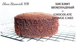 Бисквит шоколадный - идеальный рецепт! Chocolate Sponge || Elena Stasevich HM