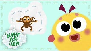 Кругляши - Мультфильмы для детей про животных и другие серии 