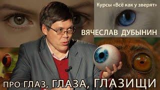 Вячеслав Дубынин "Про глаз, глаза, глазищи" #2 // курсы юного натуралиста "Всё как у зверят"