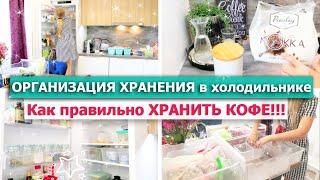 Бюджетная ОРГАНИЗАЦИЯ ХРАНЕНИЯ в холодильнике