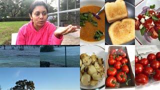 A Day In The Life Vlog Episode - COVID| Cooking|Cold Day | Bhavna's Kitchen