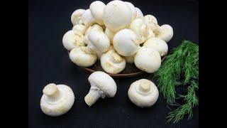 Золотые грибочки! Шикарная закуска из грибов шампиньонов