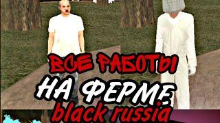 Black Russia ФЕРМА ВЫШЛА! ПОЛНЫЙ ОБЗОР ВСЕХ РАБОТ НА ФЕРМЕ КМРП МОБАЙЛ