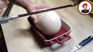 Распилили страусиное яйцо и сделали омлет. Георгий Апухтин