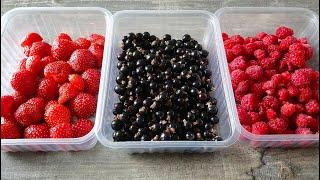 Заморозка ягод на зиму | Очечь хороший способ заготовить ягоду | Freeze the berries