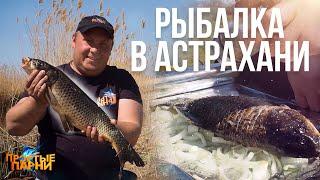 Рыбалка в Астрахани | Готовим рыбу на углях | Отличный клёв!