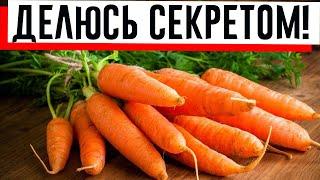 Как я быстро нарезаю морковь соломкой: делюсь своими секретами!