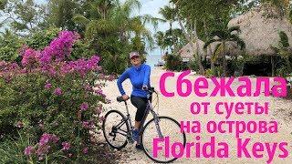 Сбежала с велосипедом на острова Florida Keys / Пляжная жизнь / Мои путешествия