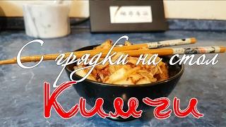 Простой рецепт кимчи - традиционная корейская закуска