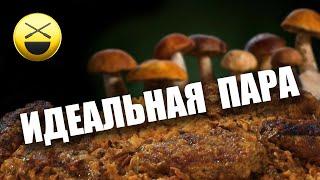 Мясные рулеты с грибами по рецепту Сталика Ханкишиева