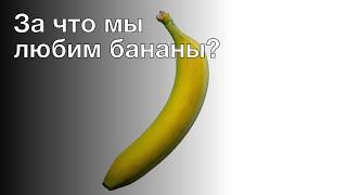 За что мы любим бананы? Советы и лайфхаки #3028