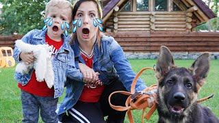 Дети играют с малышом - Забавная история про собаку и малыша