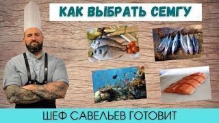 Как выбрать рыбу для супа | Красная рыба | Шеф Савельев готовит Chef Savelyev