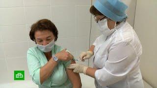 Людям угрожают три новых вида гриппа: в России началась массовая вакцинация