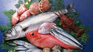 Рыба и морепродукты польза обзор виды советы по питанию. Чем вредна рыба и какая самая полезная.