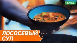 Суп из лосося. Очень вкусный рецепт супа на костре. Как приготовить суп из рыбы?