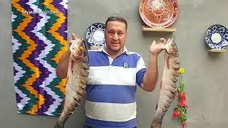 Вот так жарят рыбу узбеки.Узбекистан.