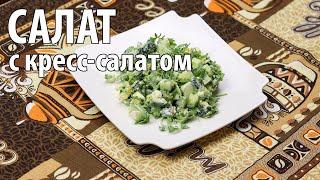 Салат с кресс-салатом. Рецепт салата из микрозелени