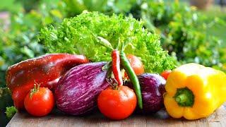Как приготовить овощи?  Овощи СОТЭ.  Этот рецепт покорит ваши сердца.