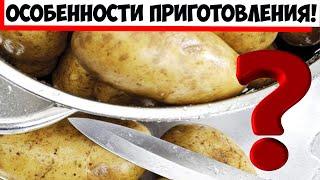 Как правильно варить картофель для пюре и гарнира: 5 секретов!